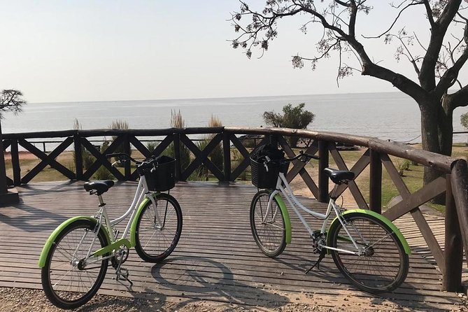 24hs Bike Rental in Buenos Aires - 24 Hours of Bike Freedom in Buenos Aires, With Helmet and Lock Taken Care Of