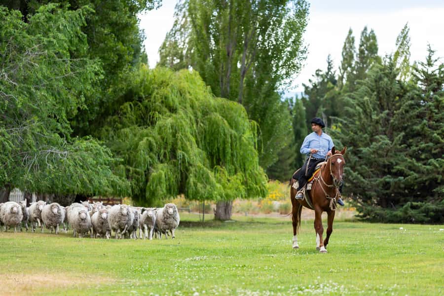 25 DE MAYO FARM - Dinner Show at El Quincho: what you get, what to expect, and why it can be worth it