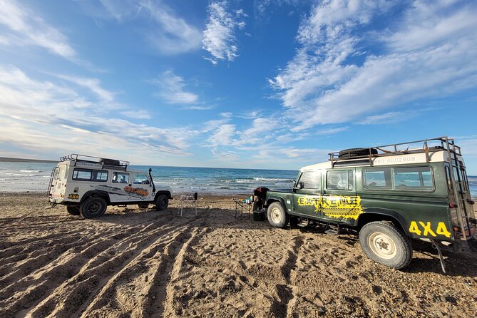 3 hour 4x4 tour around Puerto Madryn - Punta Loma Reserve: sea lions up close, plus a short flora walk