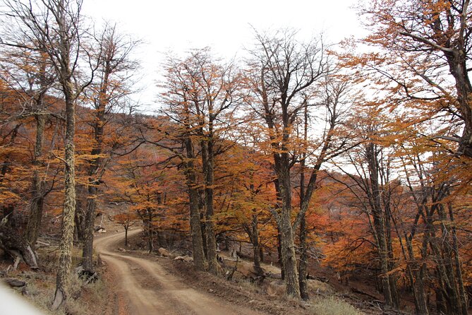 4x4 en el Cerro Frias - Guide quality: information, friendliness, and the safe-driving factor