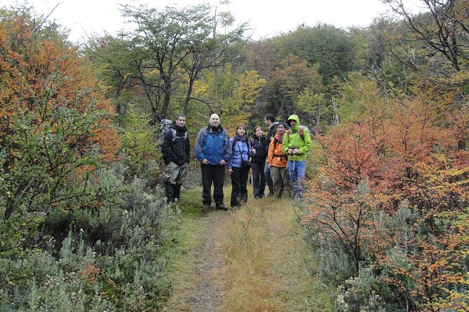 5.5-Hour Nat Park w/ Hiking <em>Shore Excursion</em> USHUAIA (Shared tour for cruises) – From Tourist Port pickup to a van that actually fits your day’ /><br />
Ushuaia shore days can be hectic. This one helps because it starts right at the Tourist Port pickup point, at <strong>Av. Prefectura Naval Argentina 470</strong>. If you’re docking on a cruise, that location matters because every minute off the ship counts.</p>
<p><p>The ride to the national park is shared, but it’s shared in a way that feels manageable. The tour requires a <strong>minimum of 6 passengers</strong> and caps the van at <strong>17</strong>, so you are not stuck in a huge group shuffle. That smaller size also makes it easier for the guide to adjust timing when the day gets busy.</p>
</p>
<p><p>The whole outing runs about <strong>5 hours 30 minutes</strong>. That’s long enough to feel like a real experience, but short enough to still work as a cruise shore excursion without needing the entire day. If you like your sightseeing compact and purposeful, this format is right in the sweet spot.</p>
</p>
<p><p>One more practical point: since this is a shared cruise shore tour, your experience is tightly scheduled. In other words, you should treat it like a planned hike day, not a “wander whenever” day.</p>
</p>
<div class="twil" style="margin: 20px 0; padding: 15px 0;"><p>More Hiking & Trekking in Ushuaia</p><ul style="margin: 10px 0; padding-left: 0; list-style: none;"><li style="margin: 0 0 12px 0; padding: 0 0 12px 0; border-bottom: 1px solid #eee; line-height: 1.4;"><a href="https://theargentinatraveler.com/from-ushuaia-tierra-del-fuego-emerald-lagoon-trekking-tour/">From Ushuaia: Tierra del Fuego Emerald Lagoon Trekking Tour</a><br><span style="font-size: 0.82em; color: #555;"><span style="color: #D98A14;">★</span> 4.9 &nbsp;&middot;&nbsp; 271 reviews</span></li><li style="margin: 0 0 12px 0; padding: 0 0 12px 0; border-bottom: 1px solid #eee; line-height: 1.4;"><a href="https://theargentinatraveler.com/ice-trekking-vinciguerra-glacier-and-laguna-de-los-tempanos-premium/">Ice Trekking Vinciguerra Glacier and Laguna de los Témpanos Premium</a><br><span style="font-size: 0.82em; color: #555;"><span style="color: #D98A14;">★</span> 5.0 &nbsp;&middot;&nbsp; 236 reviews</span></li><li style="margin: 0; padding: 0; border-bottom: none; line-height: 1.4;"><a href="https://theargentinatraveler.com/emerald-lagoon-trekking/">Emerald Lagoon Trekking</a><br><span style="font-size: 0.82em; color: #555;"><span style="color: #D98A14;">★</span> 5.0 &nbsp;&middot;&nbsp; 135 reviews</span></li></ul></div><h2>Tierra del Fuego National Park hike, with water views and real guide talk</h2>
<p><img width="669" height="446" decoding="async" src=