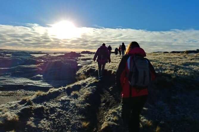 5.5-Hour National park w/ hiking Shore excursion - USHUAIA (Private Tour) - Key things to know before you go