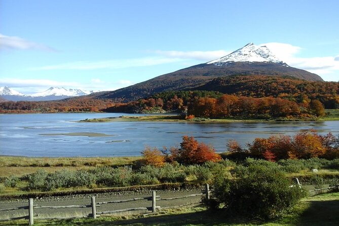 5.5-Hour National park w/ hiking Shore excursion - USHUAIA (Private Tour) - Coast Trail to Cañadón del Toro, forest walks with glacier-fed drama