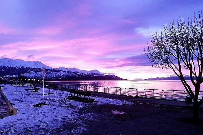 5-Hour National Park + City tour - USHUAIA (Private Tour) - Key highlights to know before you go