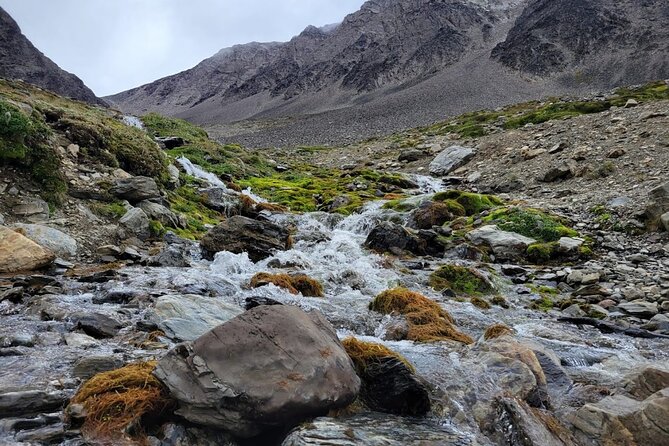 5hrs of Trekking Experience in Martial Glacier - Winter Ground, Summer Views: What Conditions Actually Change