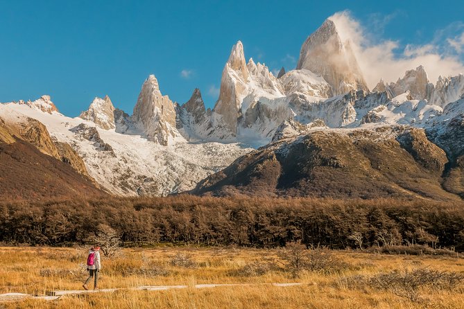 6-Day Tour of Patagonia visiting El Calafate, Perito Moreno Glacier & El Chalten - Day 2 at Perito Moreno: National Park, Walkways, and a Boat Ride