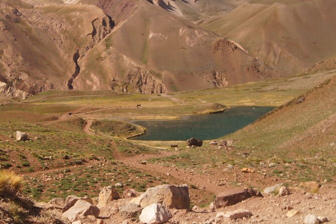 Aconcagua short hike & Argentine BBQ - Full Day from Mendoza - Key highlights at a glance