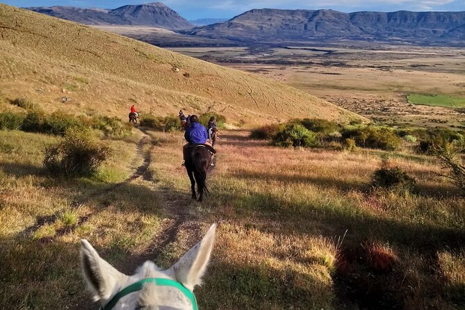 Adventure Horseback Riding on Cerro Frias - Hotel pickup, 20 minutes to the Alice Ranch, then you’re on trail