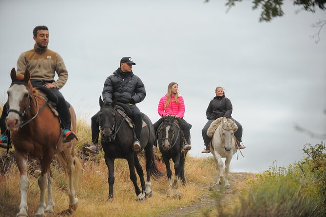 Adventure Horseback Riding on Cerro Frias - Price and value: what $150 buys in Patagonian terms