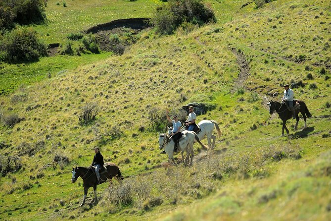 Adventure Horseback Riding on Cerro Frias - Who should book this Cerro Frías ride (and who should think twice)