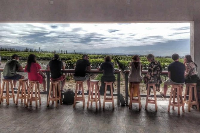 All Day, Small Group, Luxury Wine Tour with Gourmet Lunch - Key highlights worth getting excited about