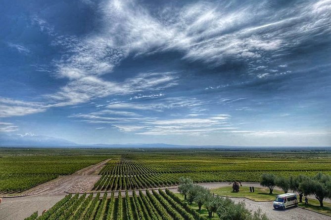 All Day, Small Group, Luxury Wine Tour with Gourmet Lunch - Hotel pickup, Mercedes ride, and the morning you start with Malbec