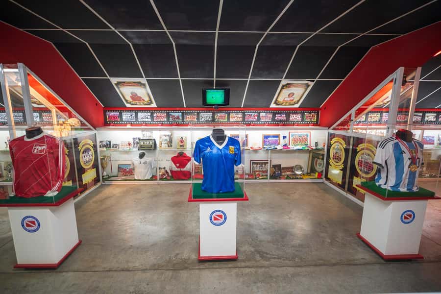 AllMaradona Buenos Aires: Maradona House Museum and Stadium - Who should book AllMaradona Buenos Aires