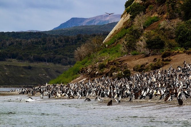 Almanza Port Tour with Lunch - Stop 2 at Chacra Ruca Kelleñ: Peace, Nature, and Breathing Room