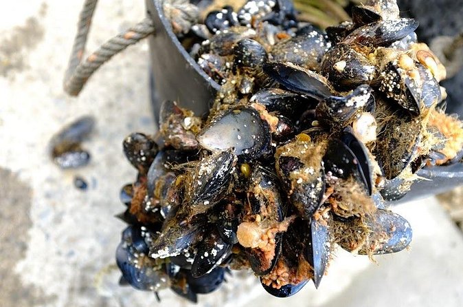 Almanza Port Tour with Lunch - Lunch in Puerto Almanza: Included, Local, and Dependent on the Catch
