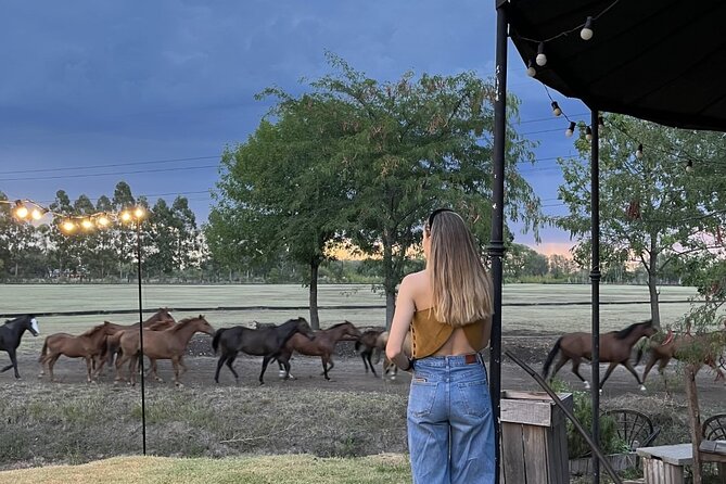Argentina Polo Experience by La Guapeada Polo - 10am Pickup From Your Hotel, Then the 45-Minute Trip to La Guapeada