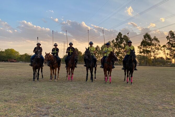 Argentina Polo Experience by La Guapeada Polo - Asado Lunch Facing the Main Field, With Wine and Real Farm Flavor