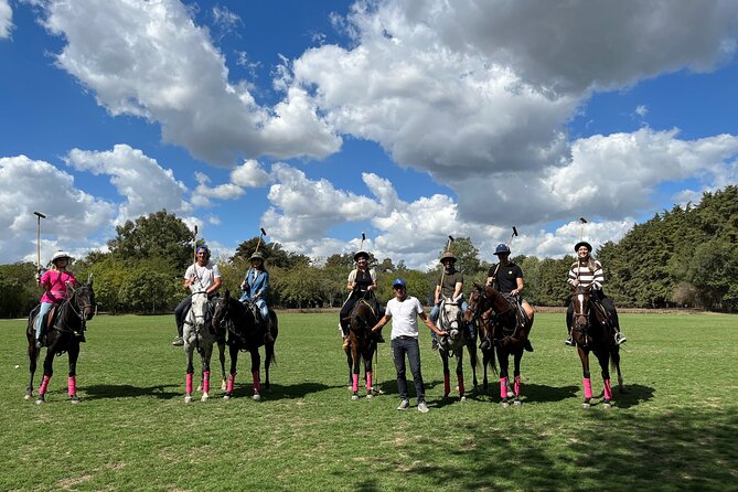 Argentina Polo Experience by La Guapeada Polo - Price and Value: What Your $267 Actually Buys