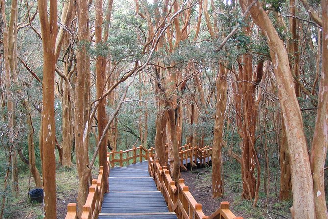 Arrayanes Forest with Victoria Island - Price and value: what $160 buys, plus the ARS taxes
