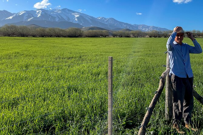 Authentic Country Day - Getting Oriented at Vivacs del Plata (and Why It Feels Easy)