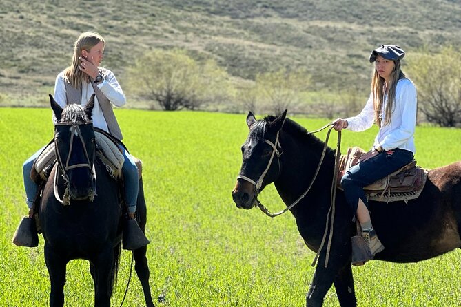 Authentic Country Day - Afternoon Choices, Trekking or 4x4, and Tea at Dusk