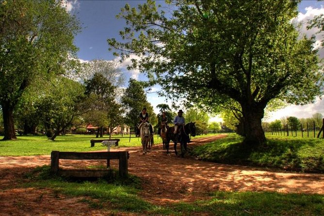 Authentic Farm Day in an Argentine Countryside Estancia - From Buenos Aires to the Pampas: The 8:30 Am Start You Should Trust