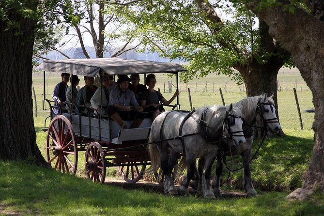 Authentic Farm Day in an Argentine Countryside Estancia - Arriving at El Ombu de Areco Estancia: The Working Farm Feeling