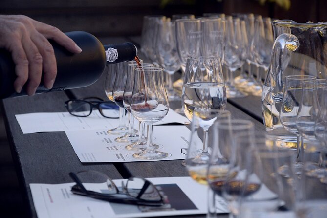 BA: Small group Argentinian Wines and Malbec Tasting in Palermo - Malbec as the Star, and Why That’s a Good Thing
