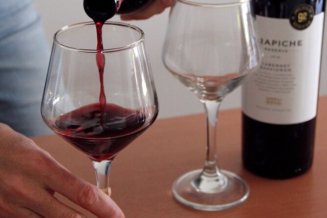 BA: Small group Argentinian Wines and Malbec Tasting in Palermo - Mendoza, Patagonia, and Salta: Reading Argentina Through Your Glass