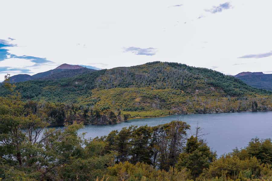 Bariloche: 7 Lakes & San Martin de Los Andes Road Trip - Who This Tour Suits Best in Patagonia