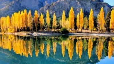 7 Lakes & San Martin de Los Andes Road Trip