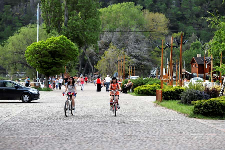 Bariloche: 7 Lakes & San Martin de Los Andes Road Trip - Tour Guide and Driver: Why the Team Makes the Difference