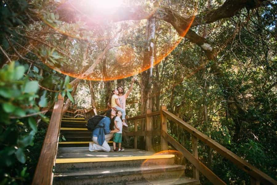 Bariloche: Arrayanes Forest and Victoria Island Tour - Key Things You Will Notice on This Tour