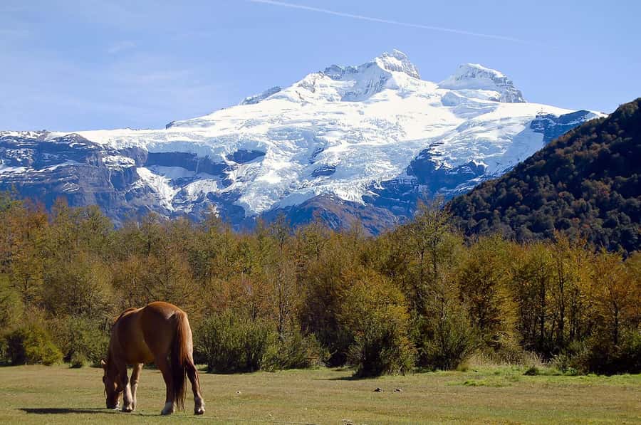 Bariloche: Cerro Tronador and Ventisquero Negro Glacier Tour - Key things you will love about Cerro Tronador and Ventisquero Negro