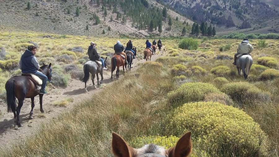 Bariloche: Guided horseback rides in the Patagonian steppe - Key things to know before you go
