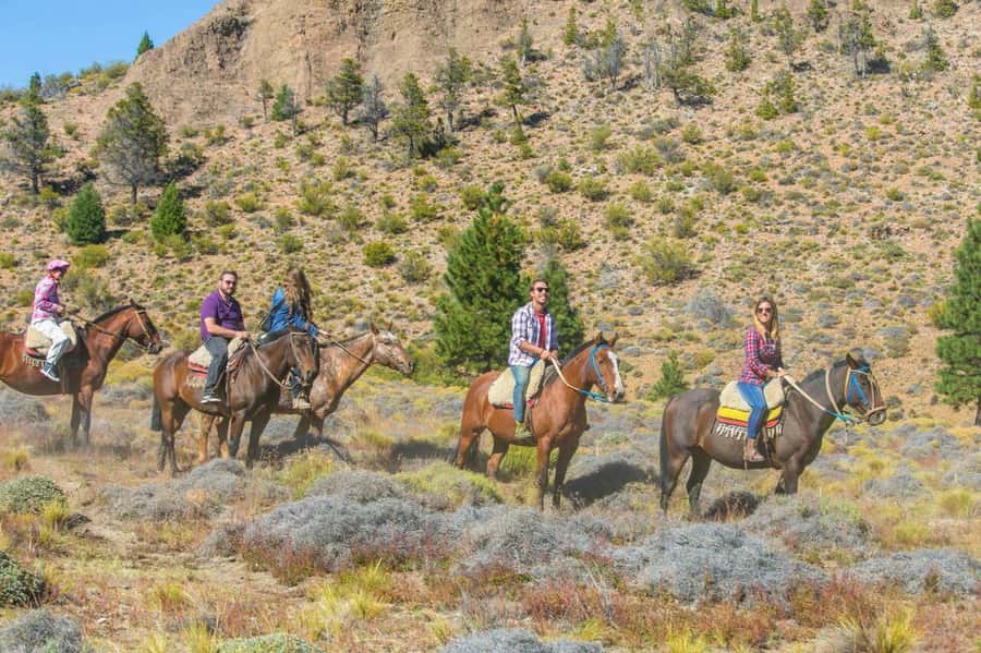 Bariloche: Guided horseback rides in the Patagonian steppe - Why this Bariloche horseback ride feels special on day one