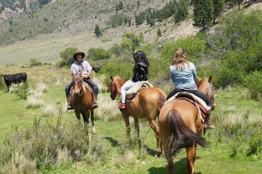 Bariloche: Guided horseback rides in the Patagonian steppe - Breakfast at La Fragua: wildlife and flora talk that actually helps you spot things