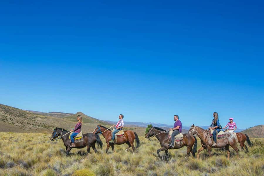 Bariloche: Guided horseback rides in the Patagonian steppe - Getting to La Estancia: the short transfer that sets the tone