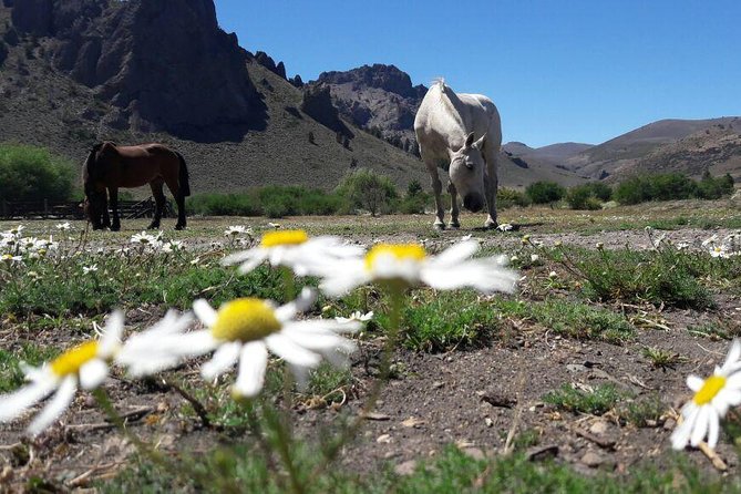 Bariloche Horseback Riding & Traditional Argentine Barbecue Tour - Why San Ramón Ranch Is the Main Event