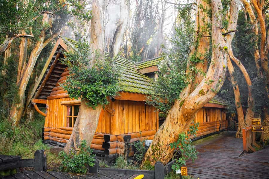Bariloche: Victoria Island and Arrayanes Forest Navigation - Bosque de Arrayanes Myrtle Forest on the Quetrihue Peninsula