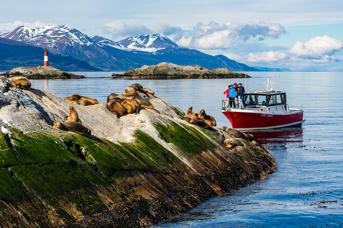 Beagle Canal Tour with Small Group Hiking - Price and value for a small-group wildlife day