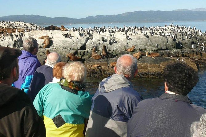 Beagle Channel Navigation Penguin Colony - Les Eclaireurs Lighthouse: cormorants plus the SS Monte Cervantes story
