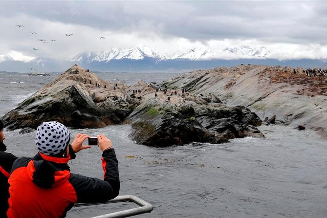 Beagle Channel Navigation Penguin Colony - Ushuaia Bay to Paso Chico: the start that sets expectations