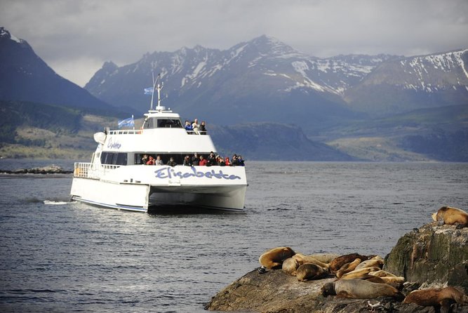 Beagle Channel Navigation - Sea Lions Island - Wildlife you can spot on the cruise routes