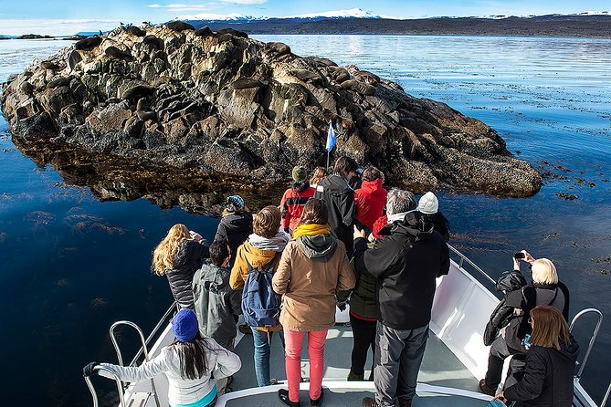 Beagle Channel Navigation with Minitrekking - Guides, Group Size, and Why Your Questions Matter