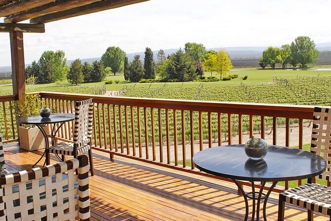 Bodega Decero+Almuerzo Susana Balbo (Guia Michelin). - What the private format really changes for you