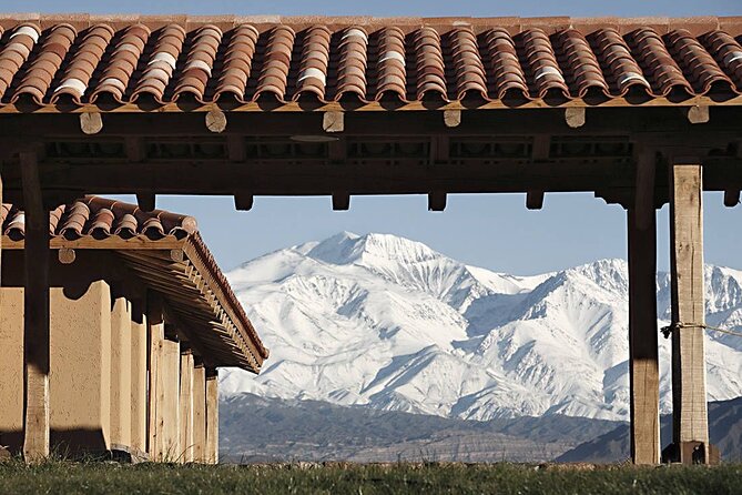 Bodega Decero+Almuerzo Susana Balbo (Guia Michelin). - The small logistics that can make or break the day