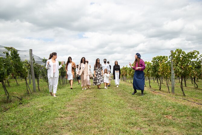 Bodega Gamboa Premium Wine Tasting with Lunch - Lunch by the Vines: From Barbecue Options to a 10-Course Spread