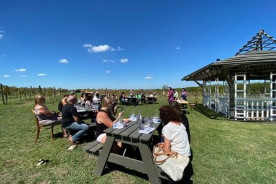 Bodega Gamboa Small-Group Wine Tasting Tour with Lunch