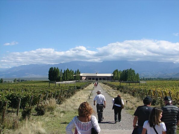 Bodega Salentein, Almuerzo Bodega La Azul with Private Transportation - Key Highlights You Should Care About